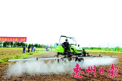惠州:机械化种菜助农业增效农民增收