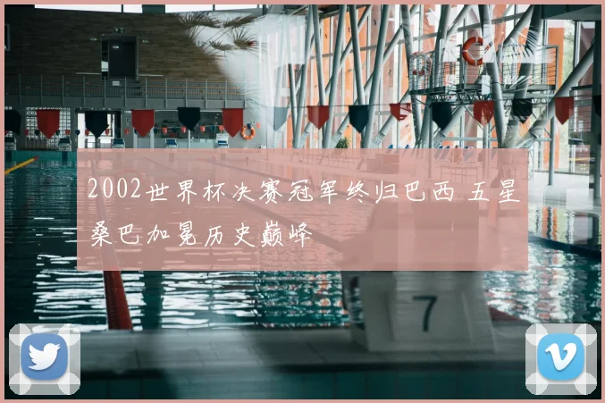 2002世界杯决赛冠军终归巴西 五星桑巴加冕历史巅峰