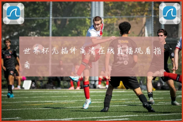 世界杯无插件高清在线直播观看指南