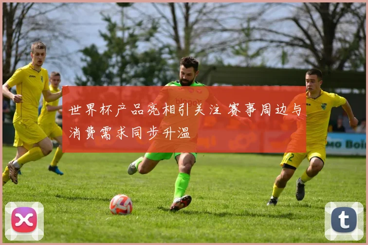 世界杯产品亮相引关注 赛事周边与消费需求同步升温