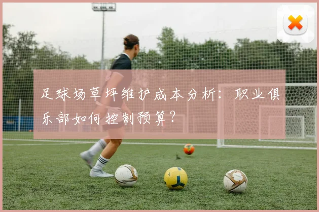 足球场草坪维护成本分析：职业俱乐部如何控制预算？